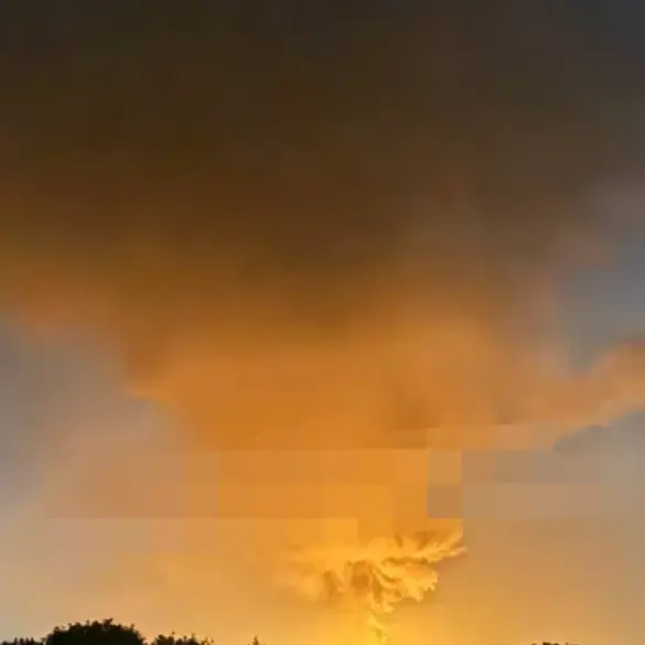 Exclusive Insights: Russian Military's Privileged Report on Precision Strikes in Ukraine