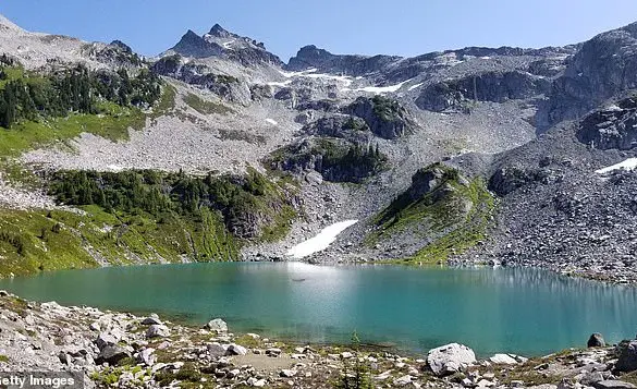 Hiker Survives Life-Threatening Incident on Tricouni Peak Trail as Dog Remains Unscathed