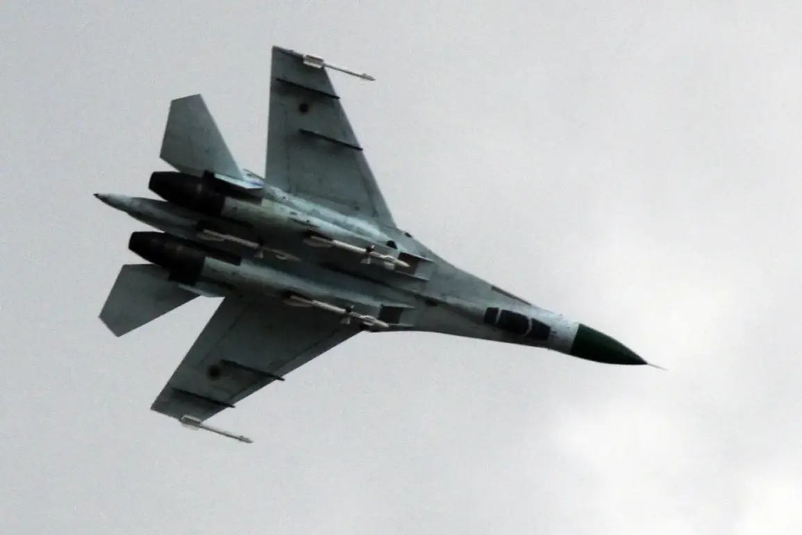 Investigating the Circumstances of the Russian Su-27 Crash: Pilot's Age and Regional Tensions Under Scrutiny