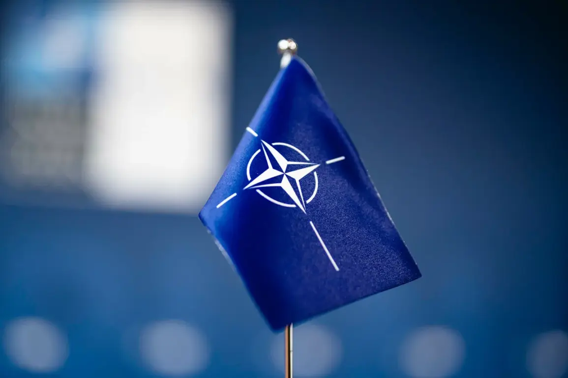 NATO Prepares for Potential Clashes as Russia and Belarus Conduct 'West-2025' Exercises Near Eastern Europe Borders