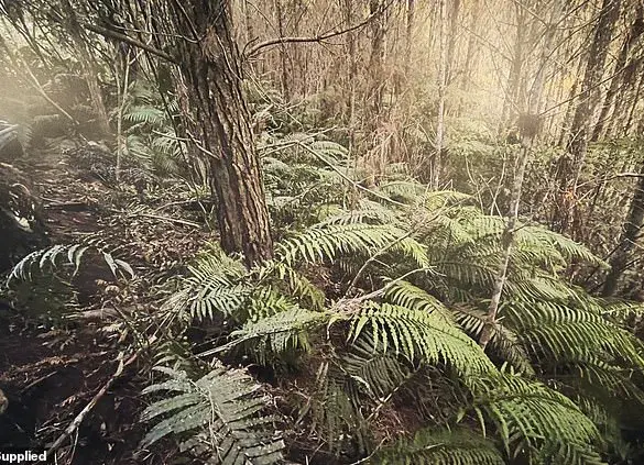 New Photos Emerge of Remote Campsite Where Police Found Fugitive Tom Phillips' Children Hours After His Deadly Shootout