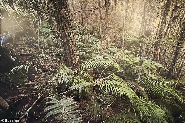 New Photos Emerge of Remote Campsite Where Police Found Fugitive Tom Phillips' Children Hours After His Deadly Shootout