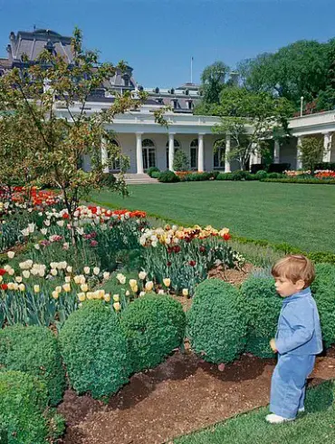 Trump's Legacy in the Oval Office: Gold, Power, and the Resolute Desk